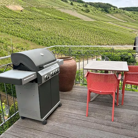 Weingut-aparthotel Olinger 5* Mehring (Rhineland-Palatinate)