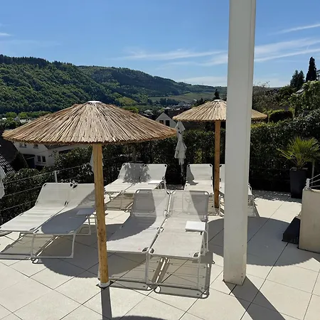 فندق Weingut-aparthotel Olinger ميهرينغ