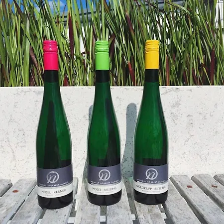 Weingut-aparthotel Olinger 5* Mehring
