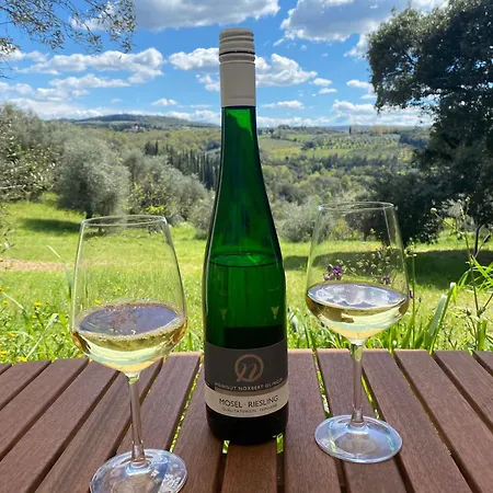 Weingut-aparthotel Olinger 5*