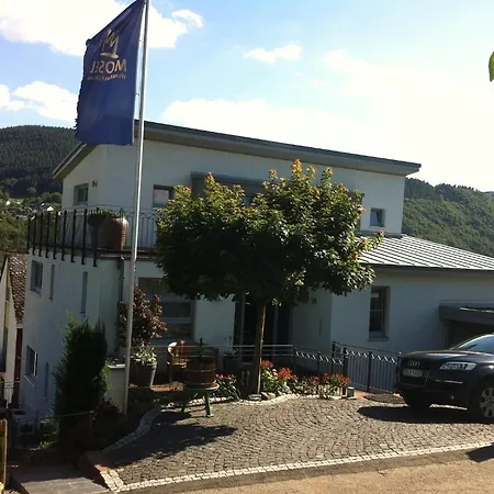 Weingut-aparthotel Olinger