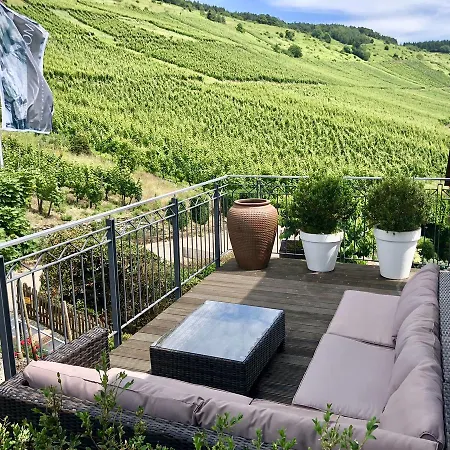 Weingut-aparthotel Olinger Mehring