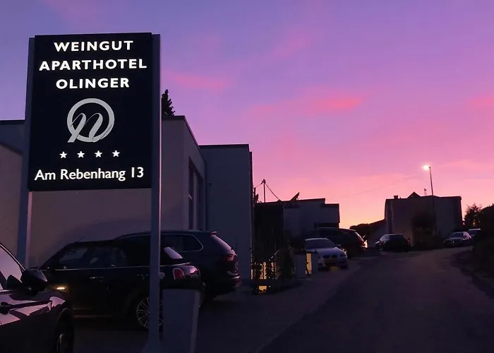 Weingut-aparthotel Olinger فندق