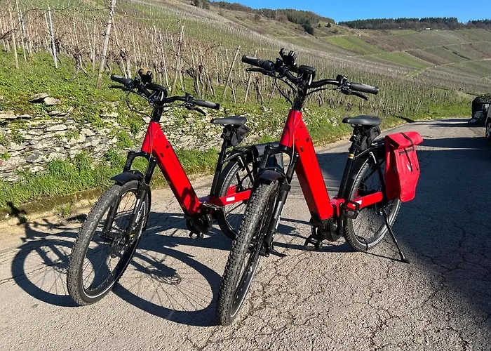 Weingut-aparthotel Olinger 5*