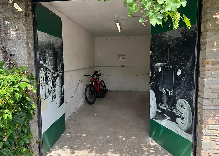 Weingut-aparthotel Olinger فندق