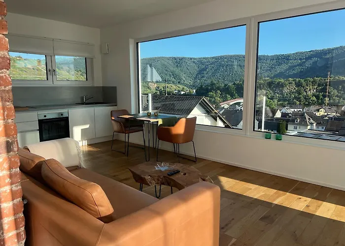 فندق Weingut-aparthotel Olinger ميهرينغ