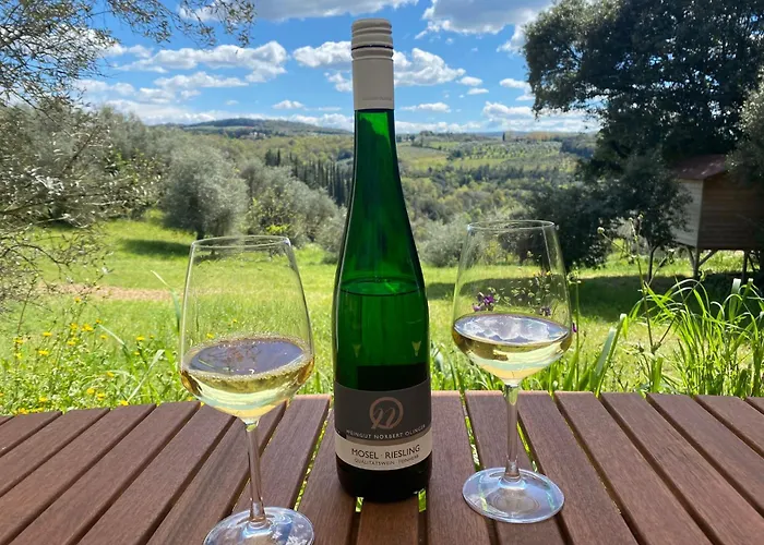 Weingut-aparthotel Olinger 5*