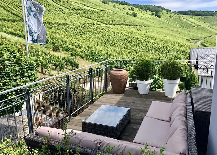 Weingut-aparthotel Olinger Mehring (Rhineland-Palatinate)